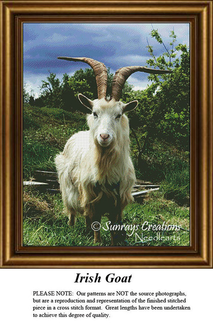 A closeup portrait of an Irish goat with impressive curved horns against a green landscape, available as a cross stitch chart.