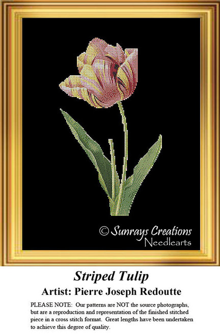 A striped tulip with pink and yellow petals and green leaves, created as a counted cross stitch pattern by artist Pierre-Joseph Redoute.