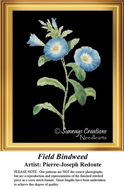 A blue flower with a white interior and yellow center, accompanied by green leaves, presented as a cross stitch design by Pierre-Joseph Redoute.