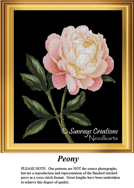 A pink and ivory peony blooms with glossy deep green leaves, shown as an xstitch chart with full cross stitches on a black background.