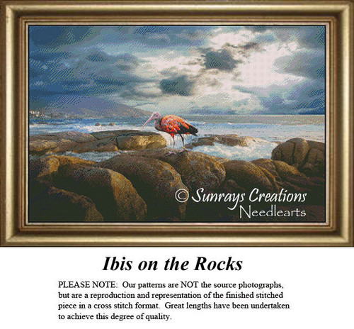 A colorful Ibis perches on large rocks by the shore, with the ocean in the background, designed for a cross stitch project.