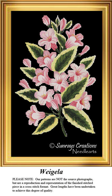 A vibrant cross stitch design of a weigela branch, showcasing bright pink flowers and variegated green leaves, all set against a black background.