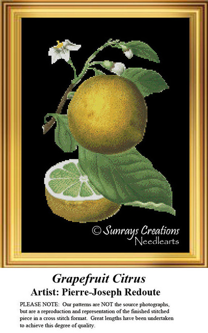 A ripe grapefruit and three white blossoms with leaves stand out against a black background, brought to life as a counted cross stitch pattern.