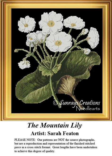 White flowers with green-yellow centers and olive leaves on a black background, presented as a counted cross stitch design by Sarah Featon.