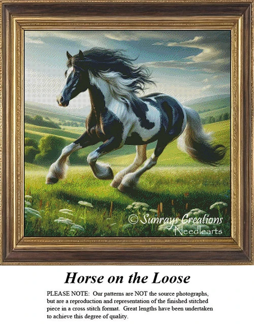 A galloping horse in a lush meadow occupies the foreground, with rolling hills and a bright sky in the background, as seen in this xstitch pattern.