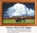 A buffalo grazes in a grassy field under a blue sky filled with clouds, featured as a counted cross stitch kit titled America, Home of the Buffalo.
