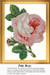 A pale pink rose with darker shades at the center, surrounded by green leaves, displayed as an xstitch design for stitching.