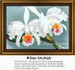 Flower Cross Stitch Pattern | White Orchids