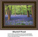 A serene forest scene with tall trees standing amidst a carpet of bluebell flowers, designed as a counted cross stitch kit for nature lovers.