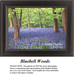 A detailed counted cross-stitch pattern preview displaying a dense forest floor covered in a sweeping blanket of vibrant purple and blue bluebells. The natural landscape design features realistic brown tree trunks extending upwards into a bright, lush green spring canopy filled with filtered sunlight.