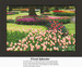 A park-like scene filled with tulips in various colors, anchored by large trees, available as a counted cross stitch pattern.