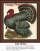 A colorful turkey stands proudly, created as a counted cross stitch pattern, perfect for Thanksgiving decor.