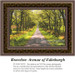 A dirt road flanked by a canopy of trees, allowing dappled sunlight through, in a counted cross stitch kit titled Bravelow Avenue of Edinburgh.
