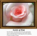 A soft pink rose with layers of petals fills the image, framed by leaves, part of a cross stitch design by Sunrays Creations.