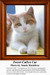 A calico cat with a sweet expression sits calmly, looking directly at the viewer, designed as a large counted cross stitch pattern.