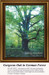 Oak Tree Cross Stitch Pattern | Gorgeous Oak in German Forest