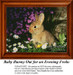 A cute baby bunny sits among white daisies and pink phlox flowers, created as a counted cross stitch pattern.