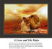 A male and female lion sitting close together against a sunset background, this image is offered as a PDF pattern for cross stitch enthusiasts.