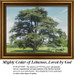 A large Cedar of Lebanon tree stands tall with strong branches under a bright sky, designed for a cross stitch project using DMC floss.
