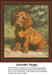 Free Animal Cross Stitch Pattern | Adorable Puppy