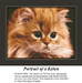 Animal Cross Stitch Pattern | Portrait of a Kitten