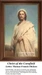 A depiction of Jesus Christ standing in a cornfield, designed as an xstitch pattern from the work of artist Thomas Francis Dicksee.