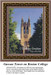 A detailed PDF pattern featuring Gasson Tower at Boston College, framed by lush green trees under a clear sky. Ideal for DMC floss on aida cloth.