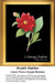 Flower Cross Stitch Pattern, The Black Collection | Double Dahlias 
