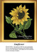 A vibrant sunflower with golden petals and a brown seed-filled center leans to the right, preserved as a counted cross stitch pattern.