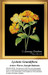 Golden flowers with orange and red stripes and tufted edges on a black background, designed as a cross stitch kit by Pierre-Joseph Redoute.