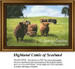 A herd of Highland cattle graze on lush grasslands under a bright sun, presented as an xstitch pattern from Sunrays Creations.