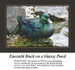 Animal Cross Stitch Patterns | Emerald Duck on a Glassy Pond