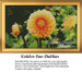 A vibrant image of golden dahlias blooming on strong stems, designed as a counted xstitch kit, ideal for flower enthusiasts who enjoy DMC floss.