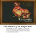 Flower Cross Stitch Pattern | Fall Romance of an Antique Rose