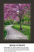A pathway winds through a park under large pink and lavender trees, designed as a large cross stitch pattern called Spring in Madrid.