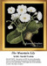 White flowers with green-yellow centers and olive leaves on a black background, presented as a counted cross stitch design by Sarah Featon.