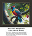 Animal Cross Stitch Pattern | An Exotic Woodpecker