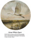 A Great White Egret in flight over marshland, designed as a cross stitch project with soft earth tones, perfect for stitching enthusiasts.