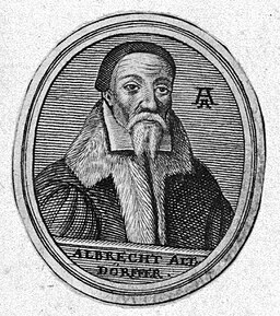 A painted self-portrait of Albrecht Altdorfer from approximately 1530. He is shown in a three-quarter view with a light brown beard and mustache, wearing a dark, wide-brimmed hat and a heavy coat over a white shirt. His expression is steady and dignified, reflecting his high social standing as a successful painter, architect, and city councillor in 16th-century Regensburg.