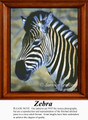 Animal Cross Stitch Pattern | Zebra
