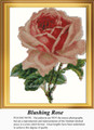 Vintage Cross Stitch Pattern | Blushing Rose