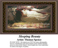 Women in Cross Stitch Pattern | Sleeping Beauty