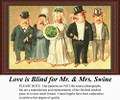 Vintage Cross Stitch Patterns | Love is Blind for Mr. and Mrs. Swine 