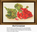 Vintage Cross Stitch Pattern | Red Geranium