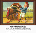 Thanksgiving Cross Stitch Pattern | Tame that Turkey