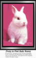 Animal Cross Stitch Pattern | Pretty in Pink Baby Bunny