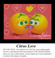 Fractal Cross Stitch Pattern | Citrus Love