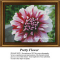 Free Flower Cross Stitch Pattern | Pretty Flower