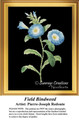 Flower Cross Stitch, The Black Collection  | Field Bindweed