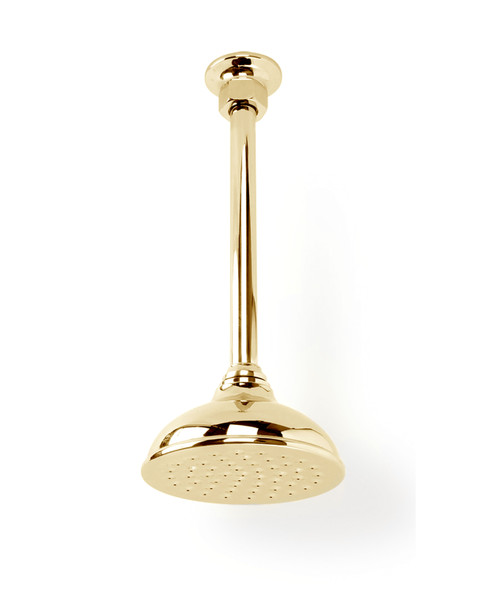 Tradition Brass drop tube, 5inch rose and inlet connector polished brass